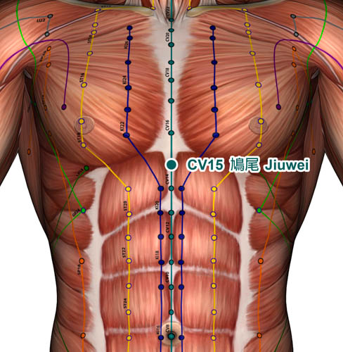 CV15 acupoint jiuwei ceu