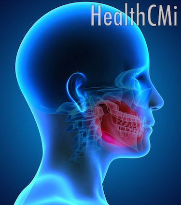 Internal view of the face and jaw. 