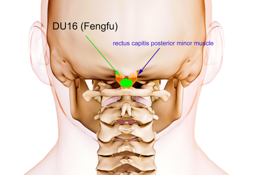 Samples of CEU/PDA Course Materials