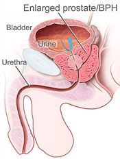 Acupuncture CEU Online.