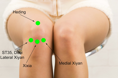 knee-1knp