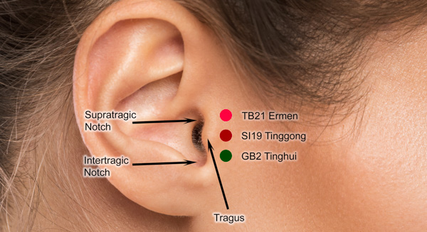 19 ear acupointssi19