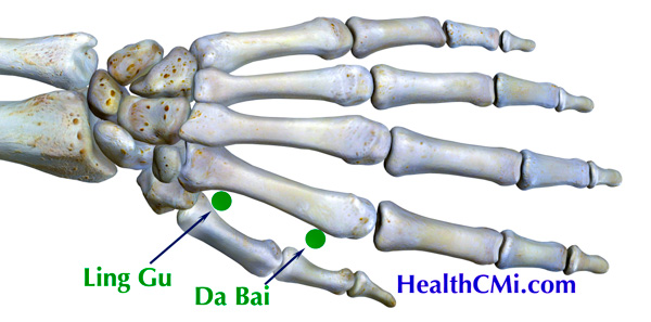 ling gu da bai tung points