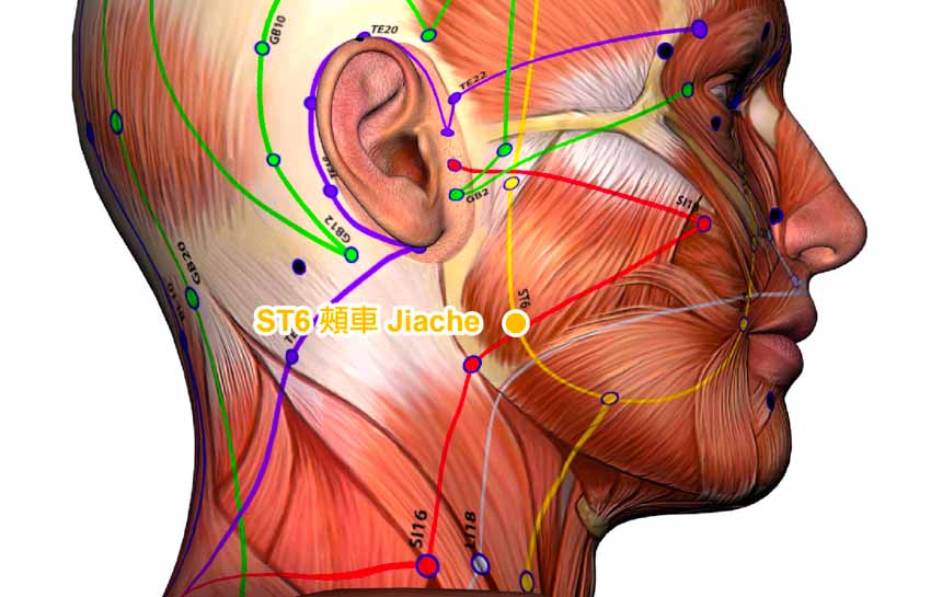 acupoint st6 jiache