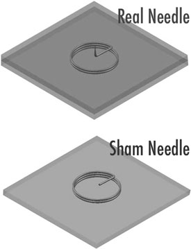 Sham Ear Needle